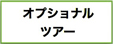 オプショナルツアー